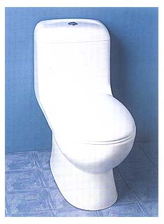 Caroma Dual Flush Toilets - Caravelle One-Piece Washdown 